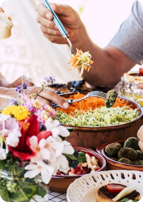 Our Mission and Vision